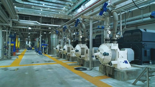 华旺科技 装饰原纸领域的领跑者，以世界级工厂为目标的新征程